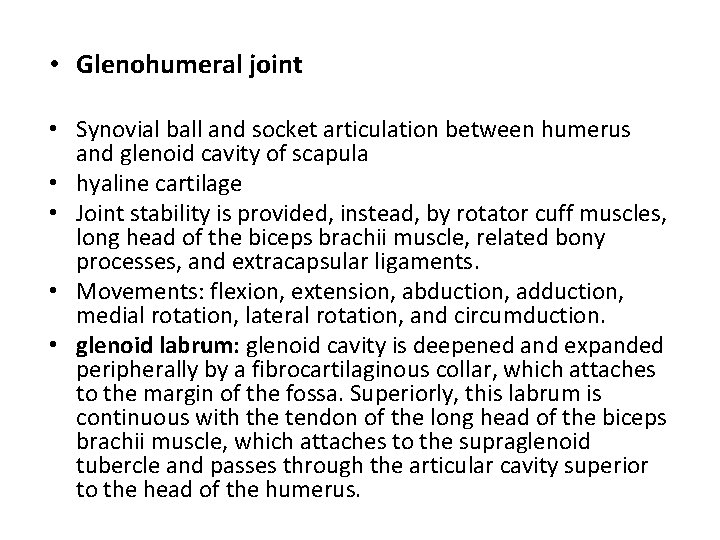 • Glenohumeral joint • Synovial ball and socket articulation between humerus and glenoid • Glenohumeral joint • Synovial ball and socket articulation between humerus and glenoid