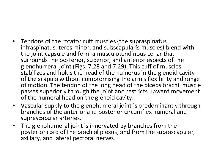  • Tendons of the rotator cuff muscles (the supraspinatus, infraspinatus, teres minor, and