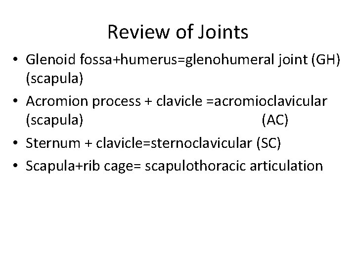 Review of Joints • Glenoid fossa+humerus=glenohumeral joint (GH) (scapula) • Acromion process + clavicle