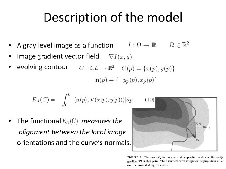 Description of the model • A gray level image as a function • Image