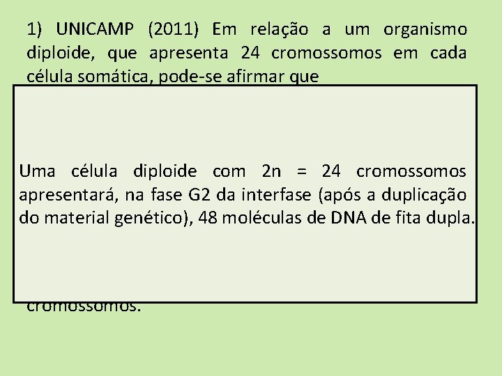 1) UNICAMP (2011) Em relação a um organismo diploide, que apresenta 24 cromossomos em