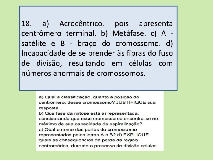 18. a) Acrocêntrico, pois apresenta centrômero terminal. b) Metáfase. c) A satélite e B