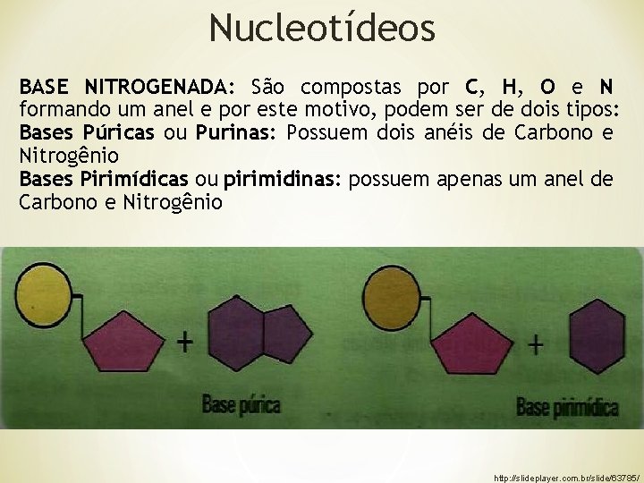 Nucleotídeos BASE NITROGENADA: São compostas por C, H, O e N formando um anel