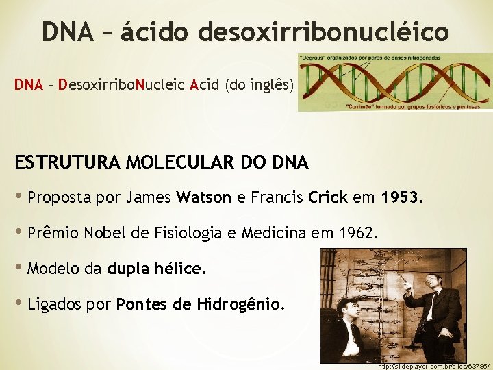 DNA – ácido desoxirribonucléico DNA – Desoxirribo. Nucleic Acid (do inglês) ESTRUTURA MOLECULAR DO