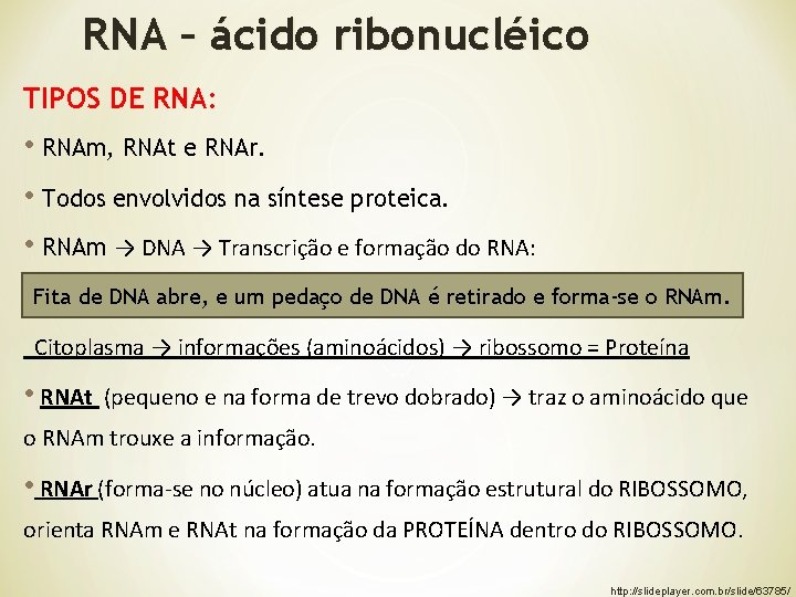 RNA – ácido ribonucléico TIPOS DE RNA: • RNAm, RNAt e RNAr. • Todos