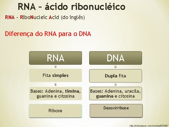 RNA – ácido ribonucléico RNA – Ribo. Nucleic Acid (do inglês) Diferença do RNA