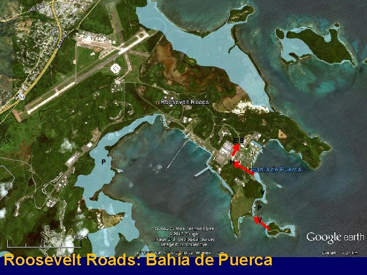 ES P H V P V Roosevelt Roads: Bahía de Puerca 