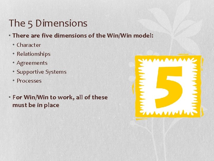 The 5 Dimensions • There are five dimensions of the Win/Win model: • •