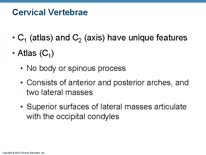 Cervical Vertebrae • C 1 (atlas) and C 2 (axis) have unique features •