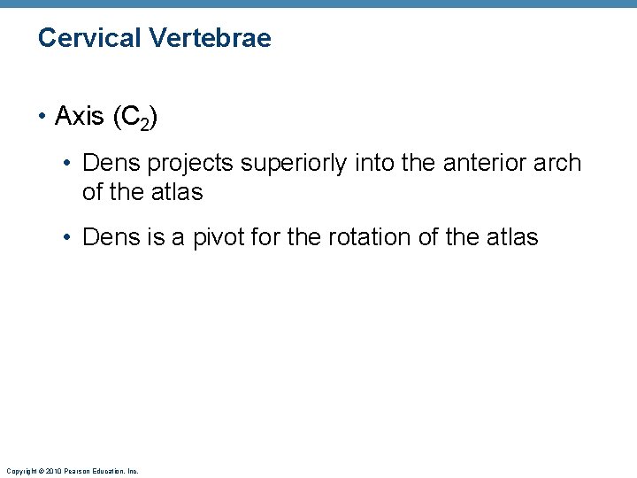 Cervical Vertebrae • Axis (C 2) • Dens projects superiorly into the anterior arch