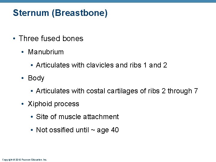 Sternum (Breastbone) • Three fused bones • Manubrium • Articulates with clavicles and ribs