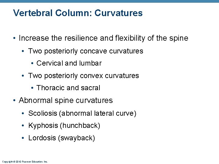 Vertebral Column: Curvatures • Increase the resilience and flexibility of the spine • Two
