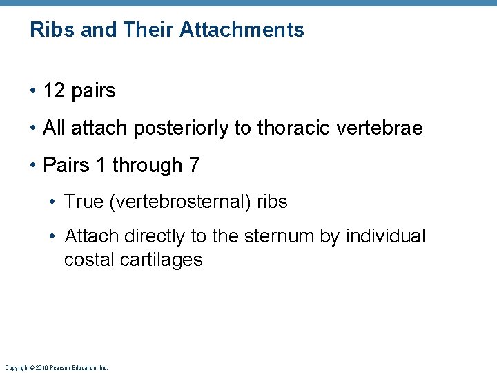 Ribs and Their Attachments • 12 pairs • All attach posteriorly to thoracic vertebrae