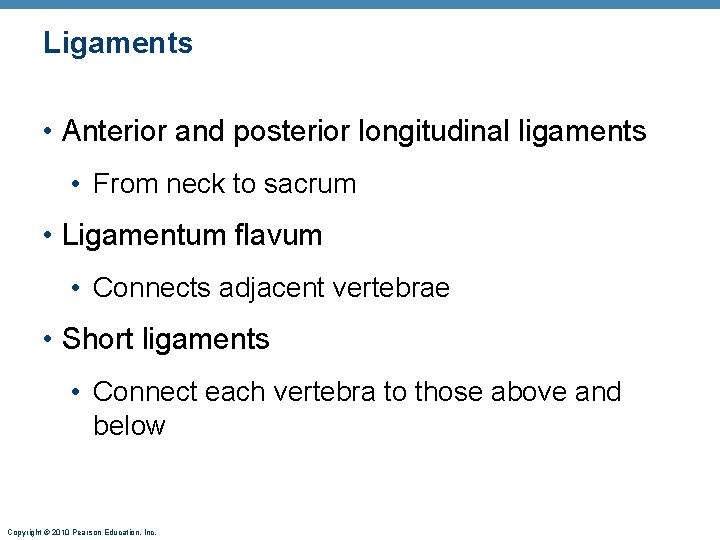 Ligaments • Anterior and posterior longitudinal ligaments • From neck to sacrum • Ligamentum