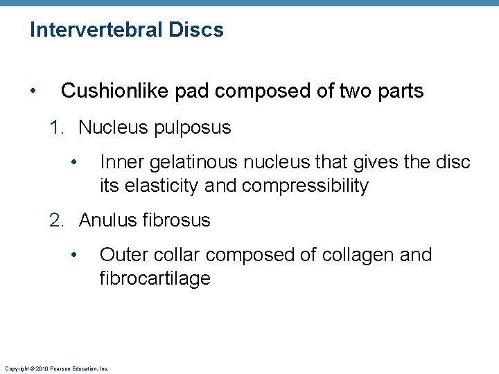 Intervertebral Discs • Cushionlike pad composed of two parts 1. Nucleus pulposus • Inner