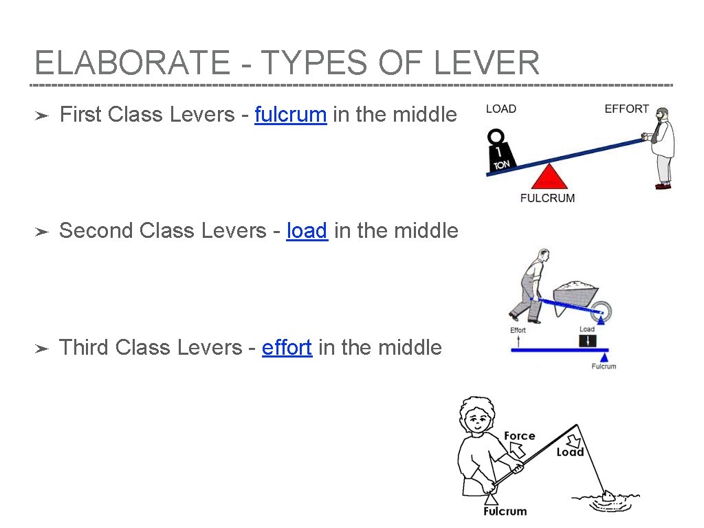 ELABORATE - TYPES OF LEVER ➤ First Class Levers - fulcrum in the middle