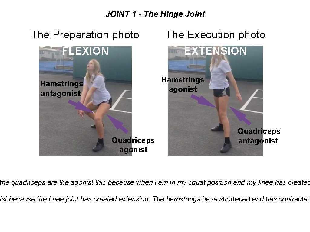 JOINT 1 - The Hinge Joint The Preparation photo FLEXION The Execution photo EXTENSION