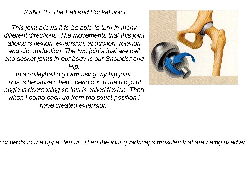 JOINT 2 - The Ball and Socket Joint This joint allows it to be