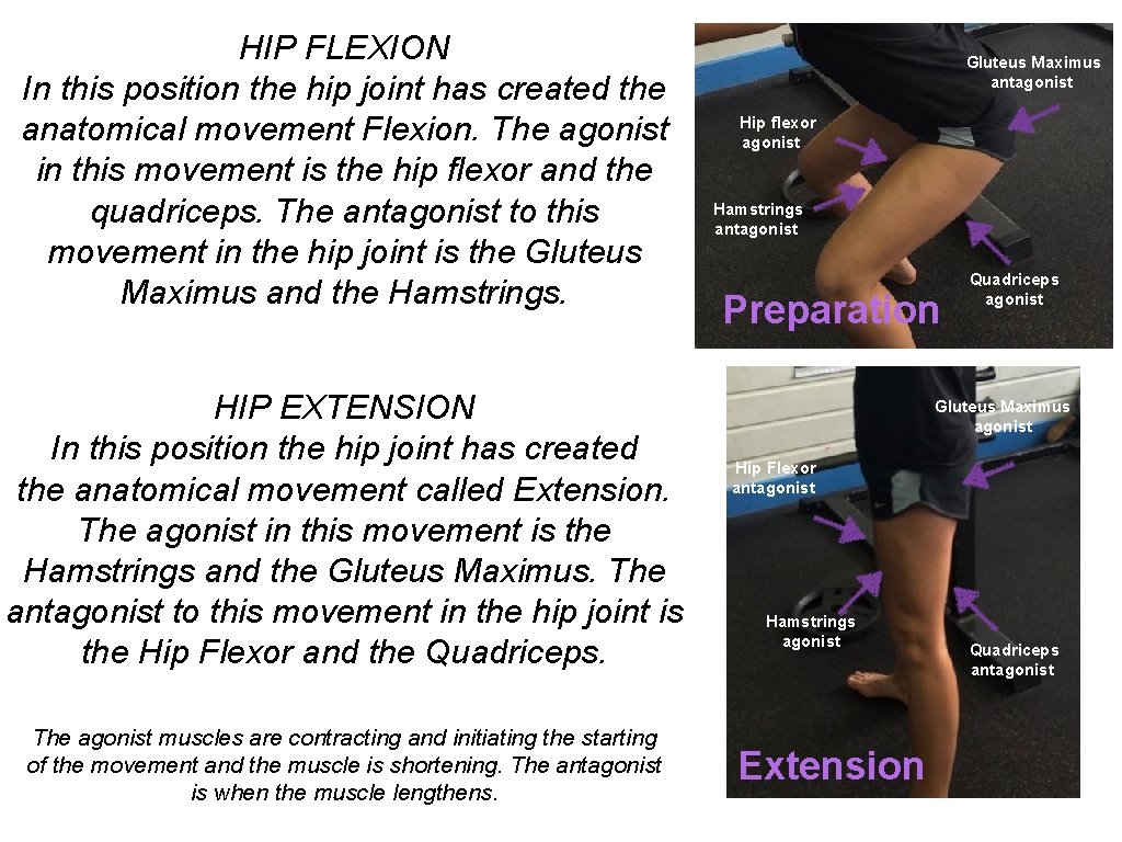 HIP FLEXION In this position the hip joint has created the anatomical movement Flexion.