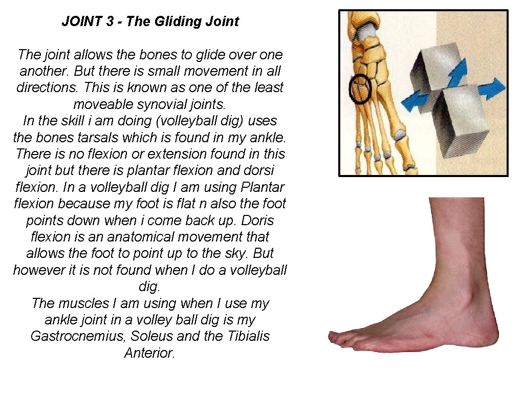 JOINT 3 - The Gliding Joint The joint allows the bones to glide over