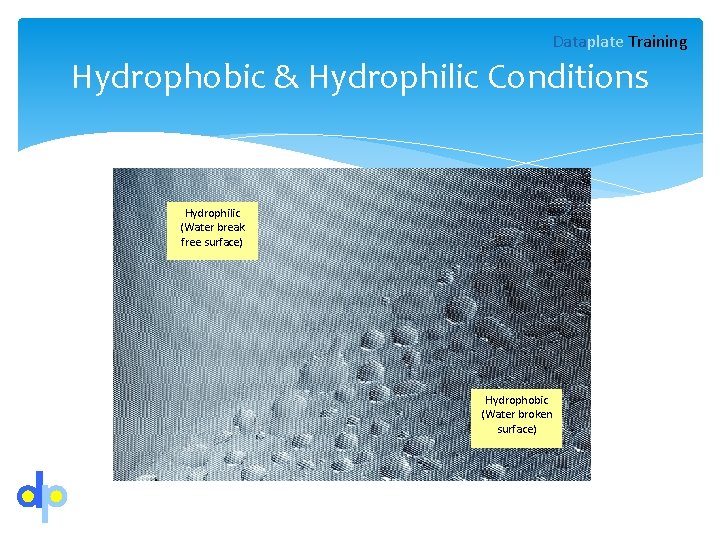 Dataplate Training Hydrophobic & Hydrophilic Conditions Hydrophilic (Water break free surface) Hydrophobic (Water broken