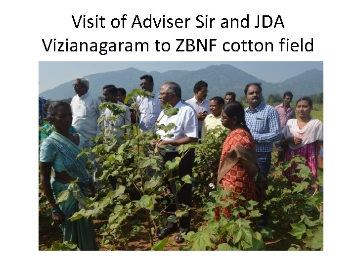 Visit of Adviser Sir and JDA Vizianagaram to ZBNF cotton field 