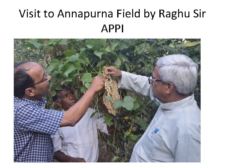 Visit to Annapurna Field by Raghu Sir APPI 
