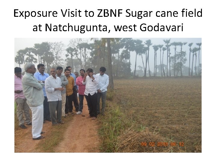 Exposure Visit to ZBNF Sugar cane field at Natchugunta, west Godavari 