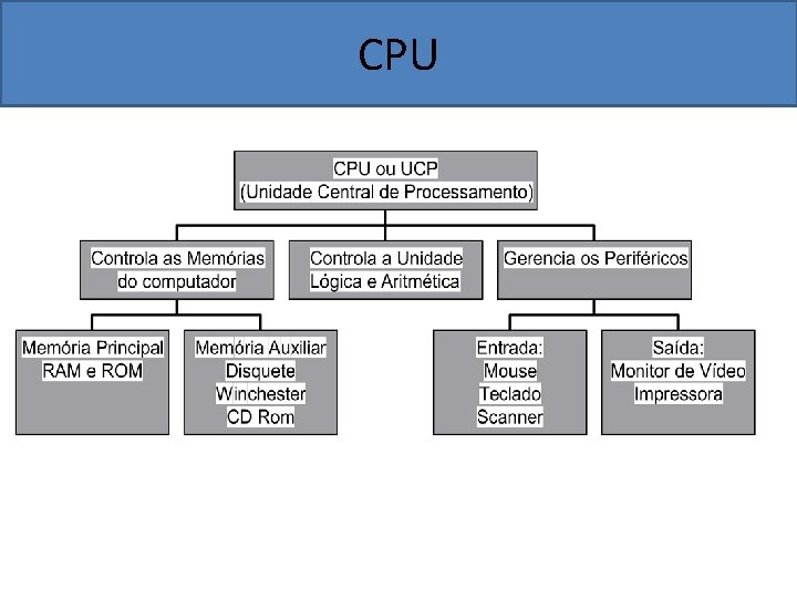 CPU 