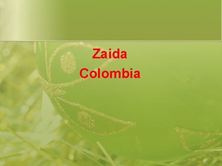 Zaida Colombia 