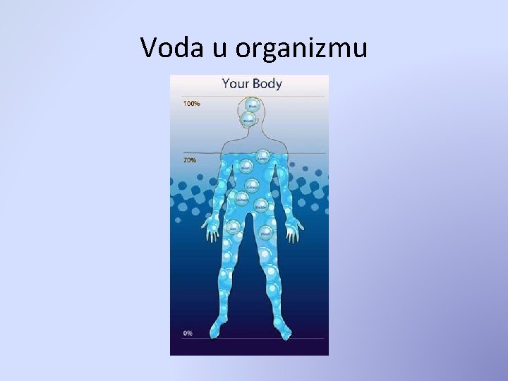 Voda u organizmu 