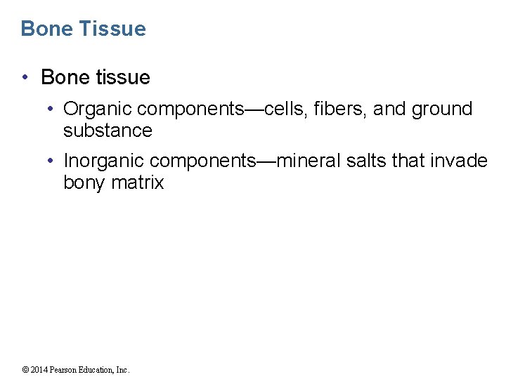 Bone Tissue • Bone tissue • Organic components—cells, fibers, and ground substance • Inorganic