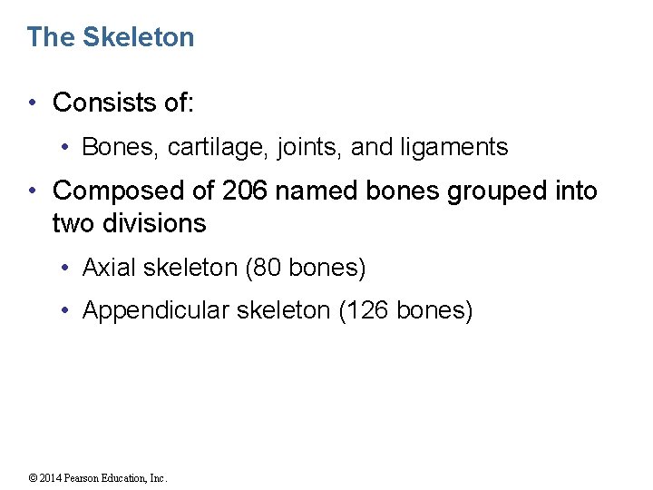 The Skeleton • Consists of: • Bones, cartilage, joints, and ligaments • Composed of