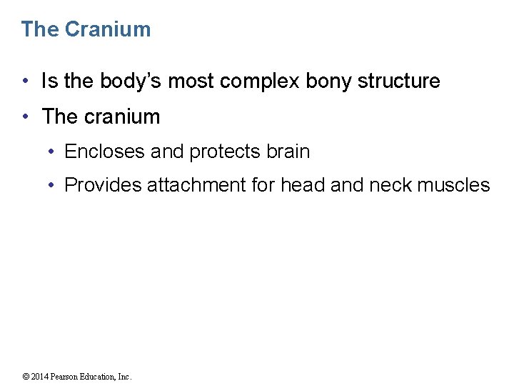 The Cranium • Is the body’s most complex bony structure • The cranium •