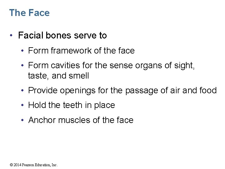 The Face • Facial bones serve to • Form framework of the face •