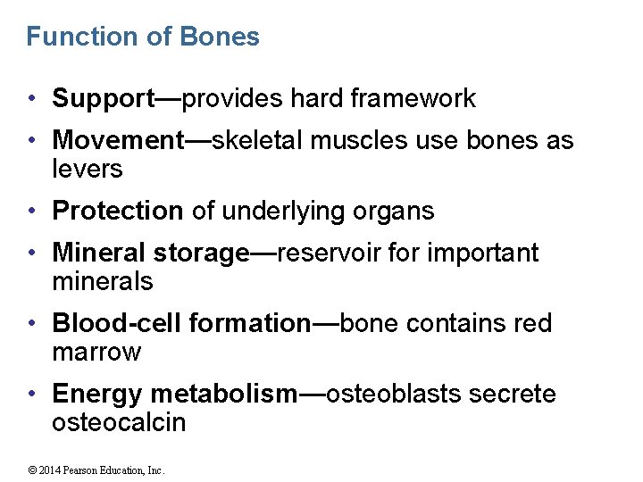 Function of Bones • Support—provides hard framework • Movement—skeletal muscles use bones as levers