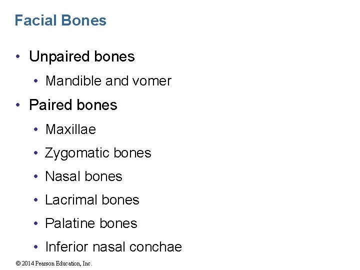 Facial Bones • Unpaired bones • Mandible and vomer • Paired bones • Maxillae