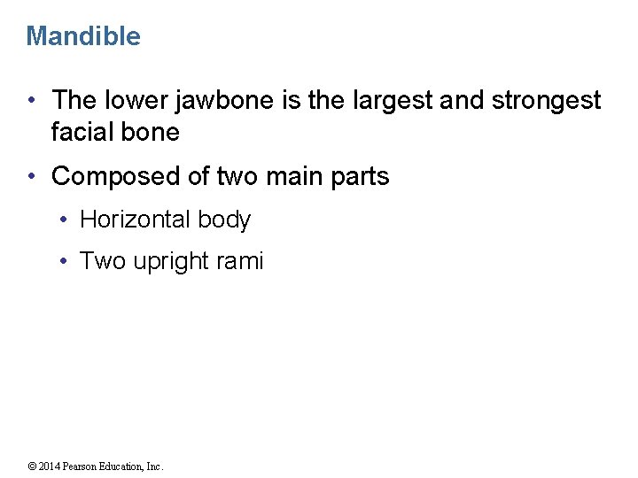 Mandible • The lower jawbone is the largest and strongest facial bone • Composed