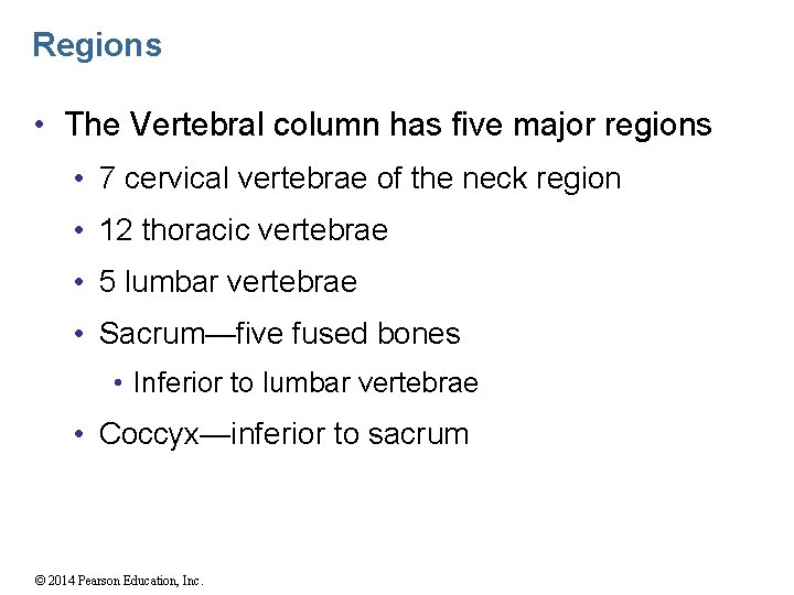 Regions • The Vertebral column has five major regions • 7 cervical vertebrae of