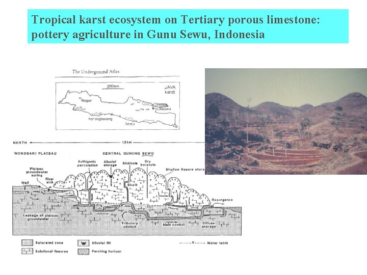 Tropical karst ecosystem on Tertiary porous limestone: pottery agriculture in Gunu Sewu, Indonesia 