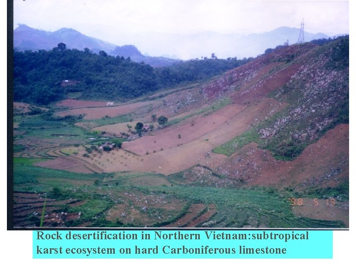 Rock desertification in Northern Vietnam: subtropical karst ecosystem on hard Carboniferous limestone 