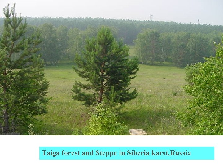Taiga forest and Steppe in Siberia karst, Russia 
