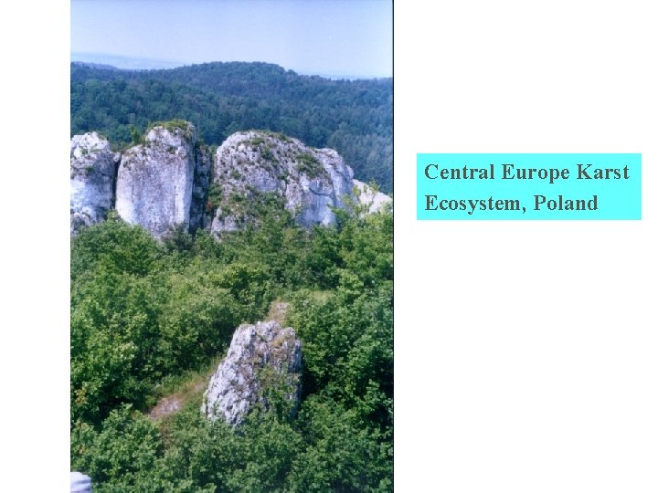 Central Europe Karst Ecosystem, Poland 