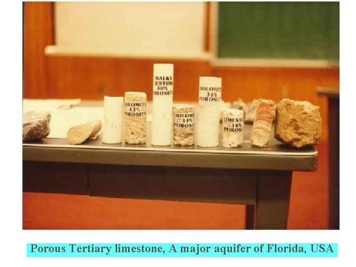 Porous Tertiary limestone, A major aquifer of Florida, USA 