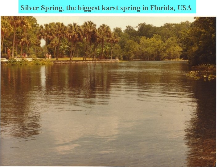 Silver Spring, the biggest karst spring in Florida, USA 