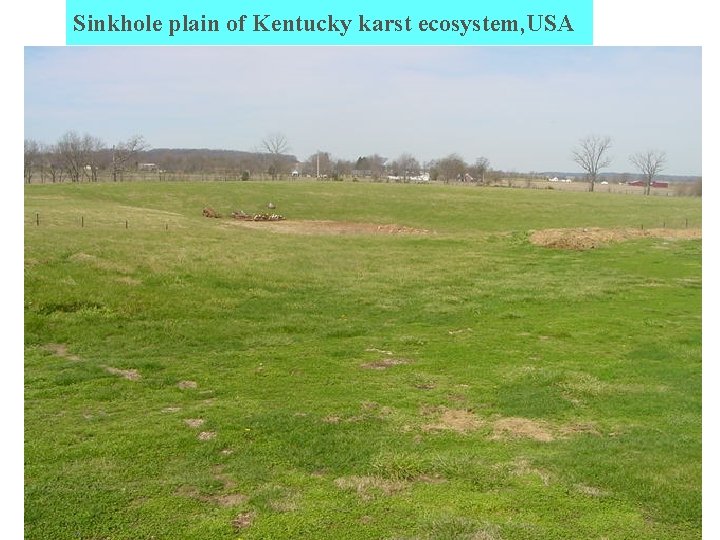 Sinkhole plain of Kentucky karst ecosystem, USA 