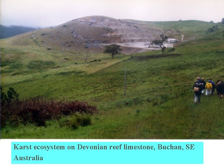 Karst ecosystem on Devonian reef limestone, Buchan, SE Australia 