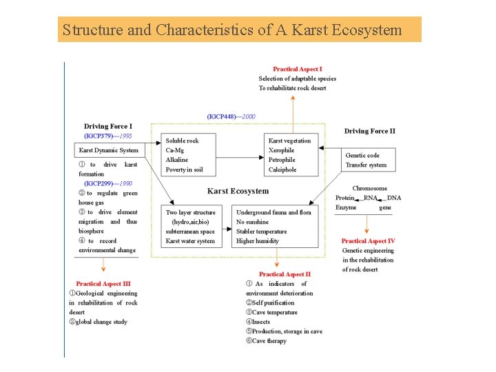 Structure and Characteristics of A Karst Ecosystem 