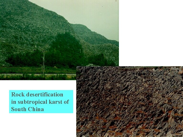Rock desertification in subtropical karst of South China 