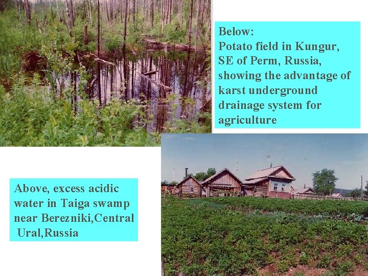 Below: Potato field in Kungur, SE of Perm, Russia, showing the advantage of karst